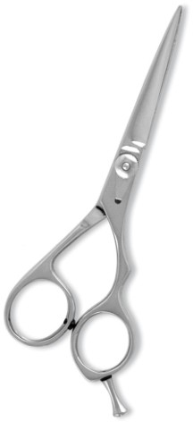 Professional Hair Cutting Scissor