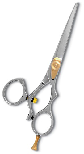 Professional Hair Cutting Scissor